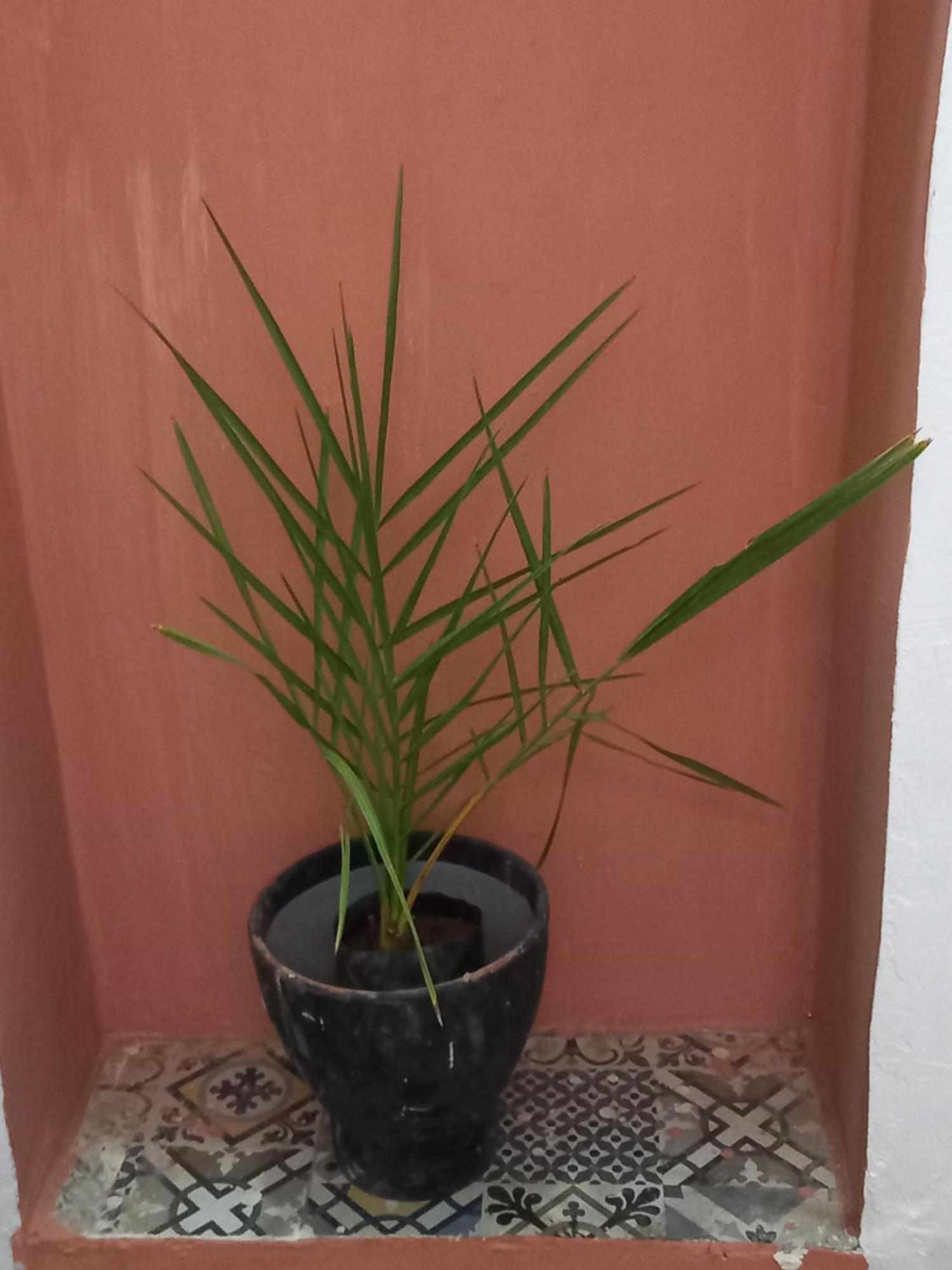 לינה וארוחת בוקר מרקש Juli'S מראה חיצוני תמונה